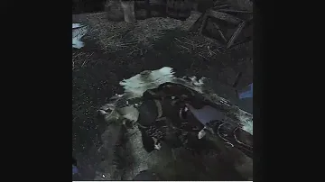 "The Real Reason To Play Skyrim VR?!?!?"